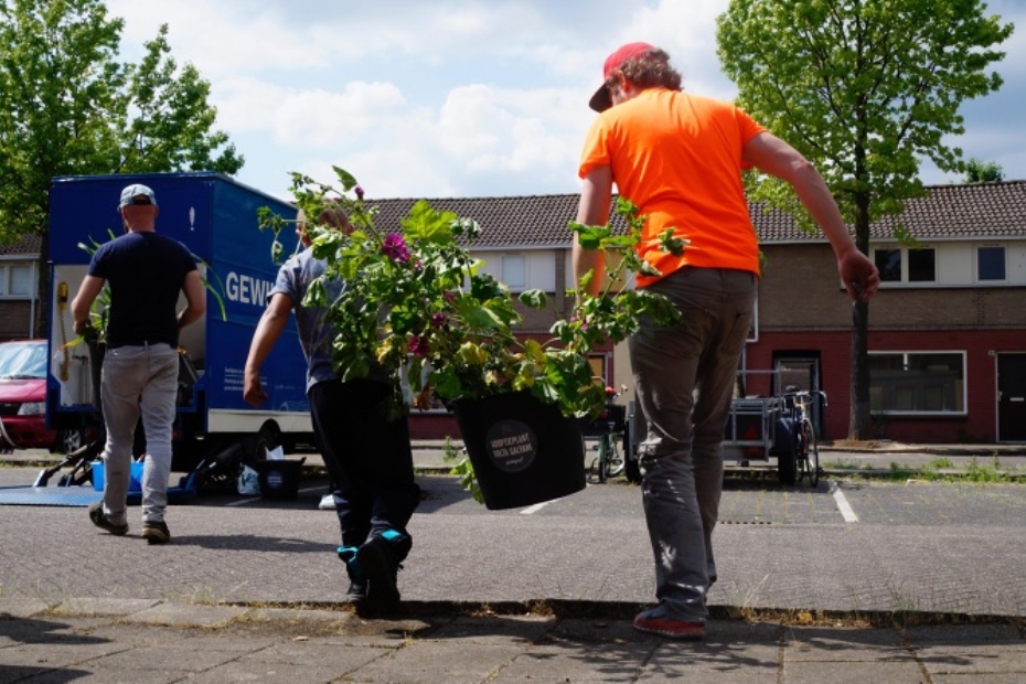 Beeld via: Struikrovers Beeld via: Struikrovers