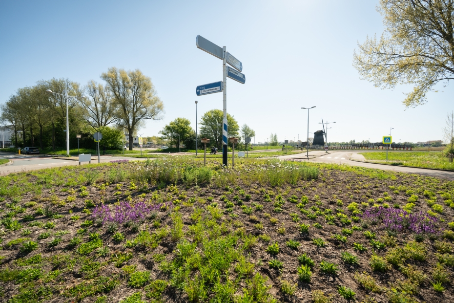 Living Landscape in Alkmaar, april 2025
