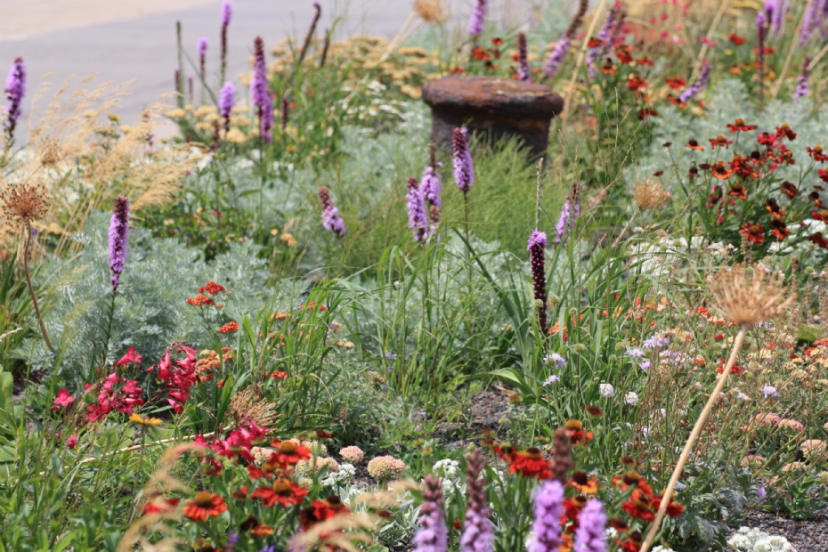 Ook Lageschaar moest zich aan de beperkingen van de locatie houden en soorten selecteren die zoutresistent zijn.