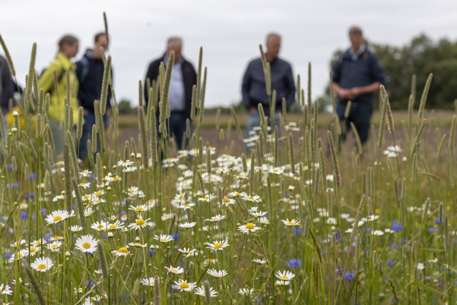 Al een kleine twintig jaar draait de opleiding groepen met leergierige studenten.