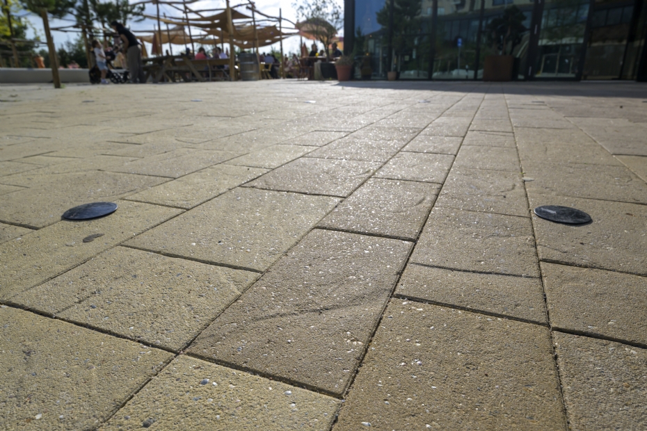 Kleurechte Waddensteen met schelpen in de toplaag Kleurechte Waddensteen met schelpen in de toplaag