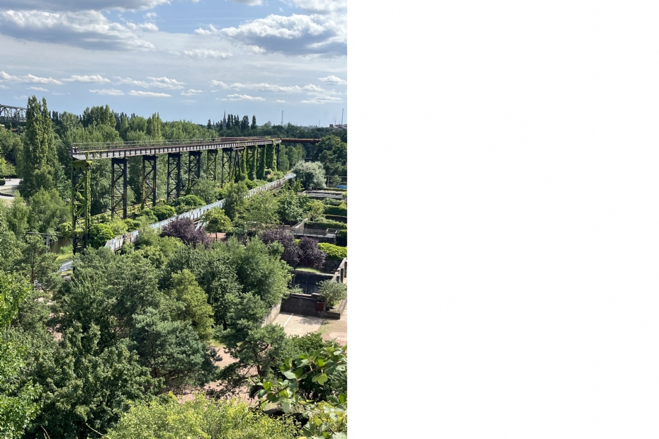 Het begroeide staal in Duisburg