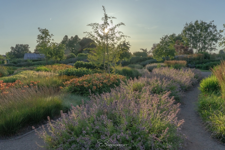 Talloze bloemcombinaties (Beeld via: Bloemenpark Appeltern)