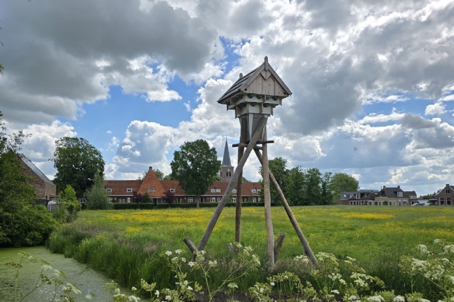 Ekotil landelijke variant toepasbaar voor alle gebouw bewonende soorten 