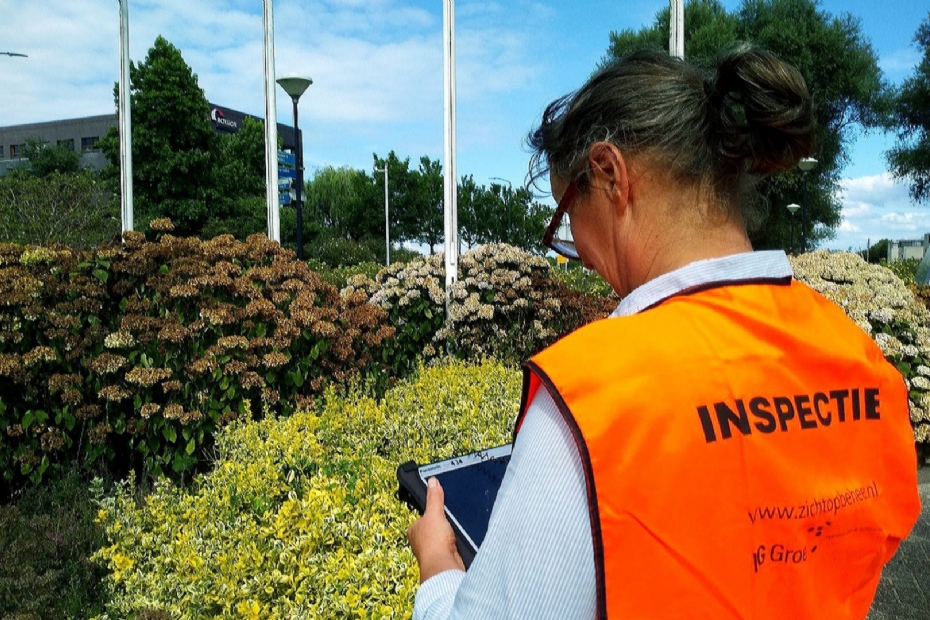 Een DG Groep-medewerker inspecteert het openbaar groen