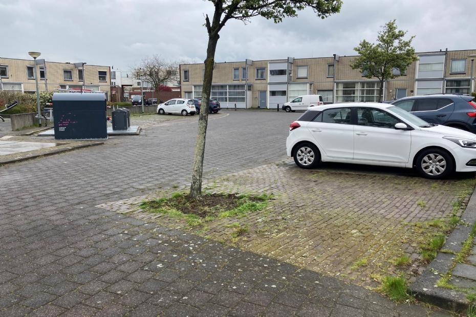 Keizerhof in de uitgangssituatie Keizerhof in de uitgangssituatie