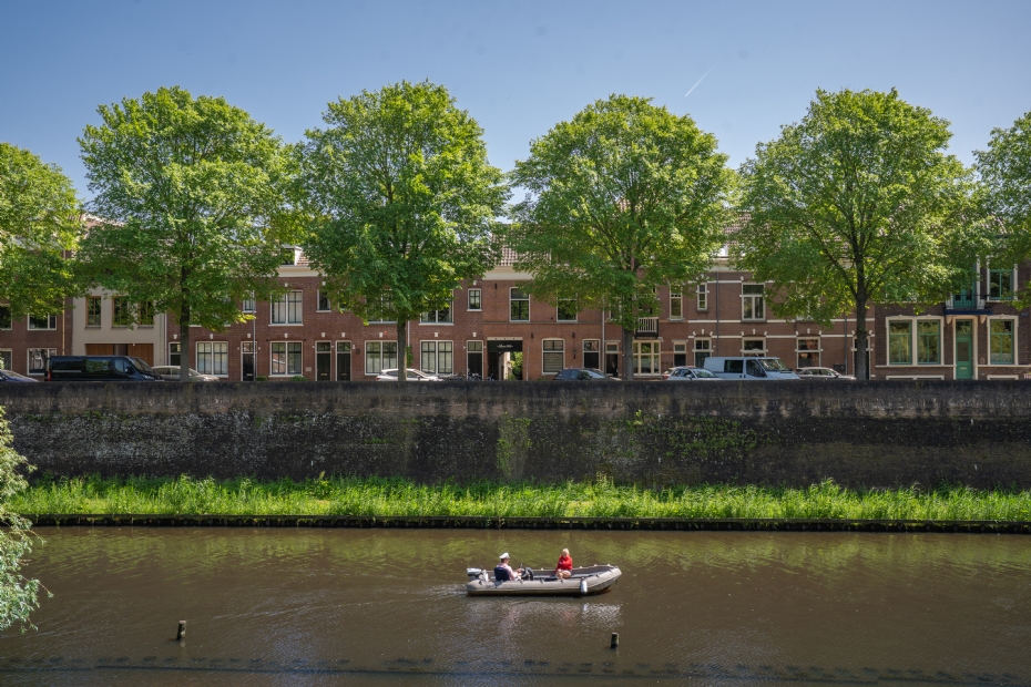 <i>Ulmus</i> 'New Horizon', Westwal in 's-Hertogenbosch <i>Ulmus</i> 'New Horizon', Westwal in 's-Hertogenbosch