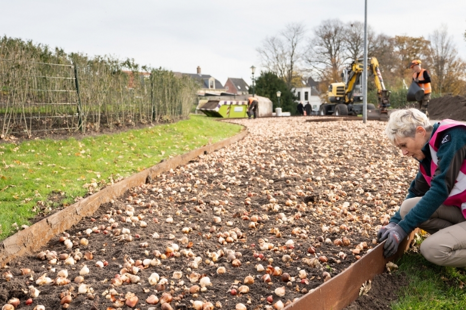 Beeld via: JUB Holland, Fotocredit: Erik Boschman