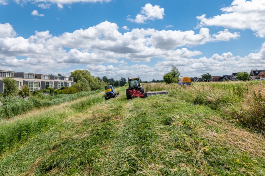 'Door variaties aan te brengen in grashoogtes en overjarig gras te laten staan, ontwikkel je micromilieus waarin meer én verschillende soorten kunnen leven'