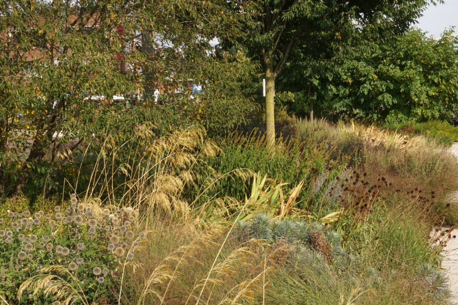 Impressie van Fleur Dansante in Didam (foto Ralf Steegs) Impressie van Fleur Dansante in Didam (foto Ralf Steegs)