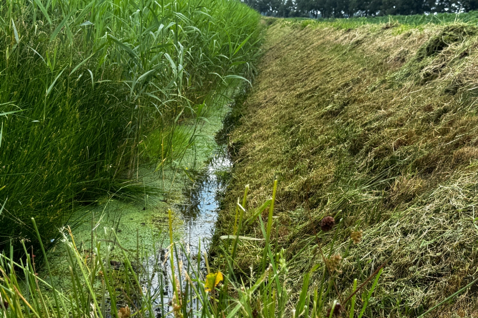 Het resultaat in één werkgang mag er zijn Het resultaat in één werkgang mag er zijn
