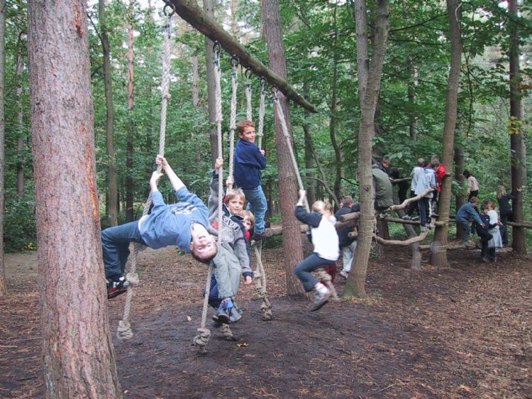 Het speelbos Het speelbos
