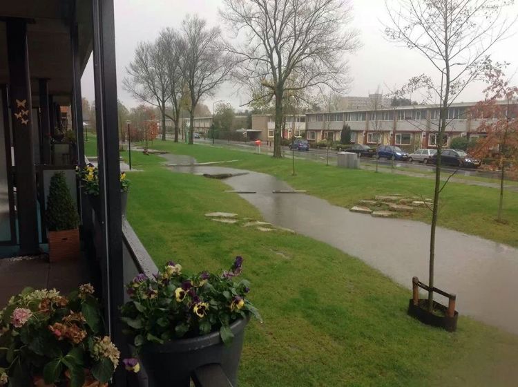 Wadi aangelegd bij herontwikkeling podium Wadi aangelegd bij herontwikkeling podium