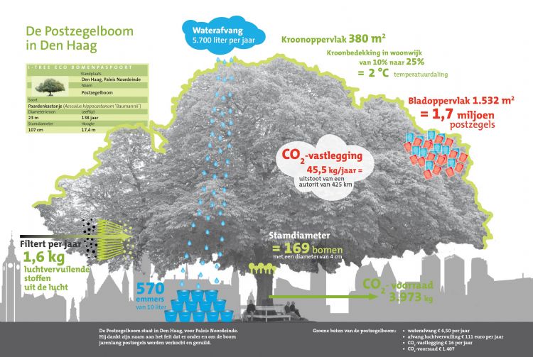 Bron: Platform i-Tree Nederland Bron: Platform i-Tree Nederland