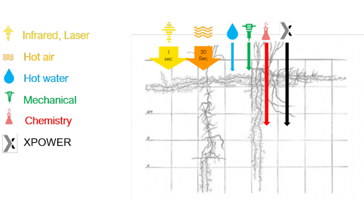 De werking van de X-Power, vergeleken met onder andere chemische bestrijdingsmiddelen De werking van de X-Power, vergeleken met onder andere chemische bestrijdingsmiddelen