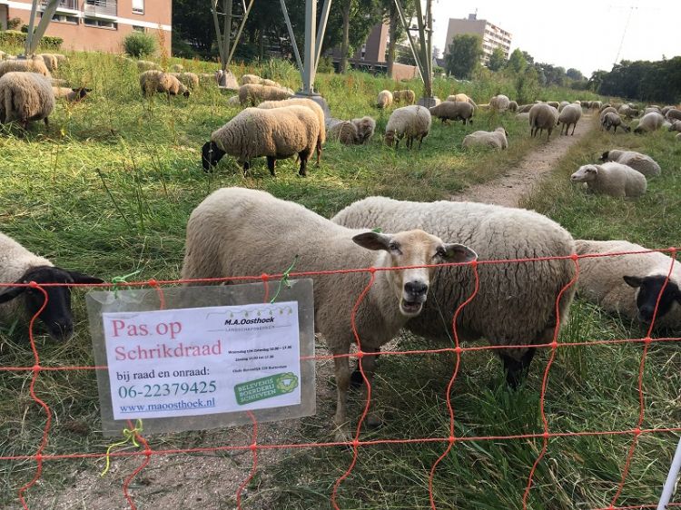 Bermonderhoud in Leidschendam Bermonderhoud in Leidschendam