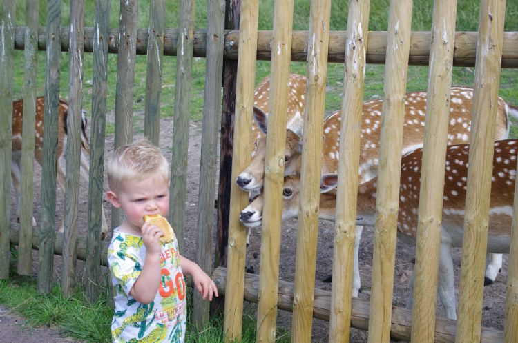 Buitenrecreatie in Gameren Buitenrecreatie in Gameren