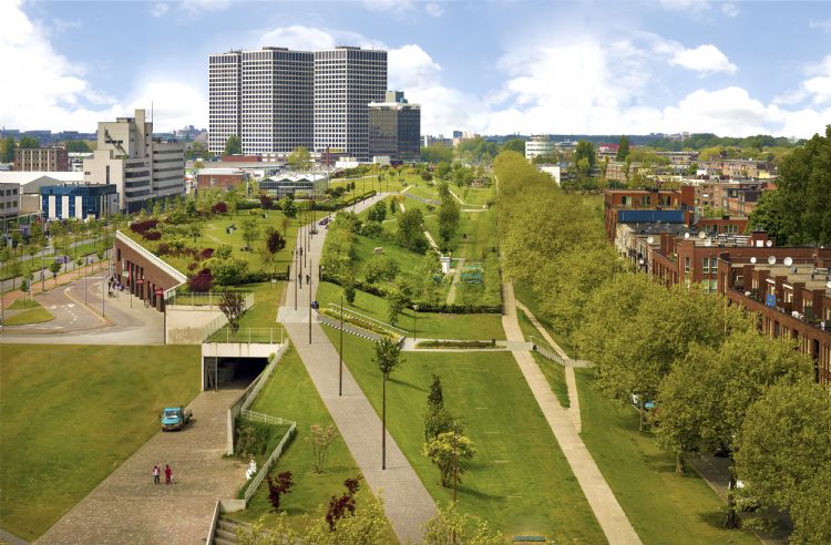 Dakpark in Rotterdam, geïnstalleerd met Nophadrain Groendaksystemen Dakpark in Rotterdam, geïnstalleerd met Nophadrain Groendaksystemen