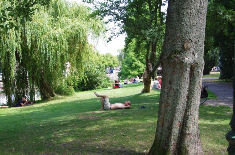 Recreëren in het Van der Werfpark in hartje Leiden. Recreëren in het Van der Werfpark in hartje Leiden.