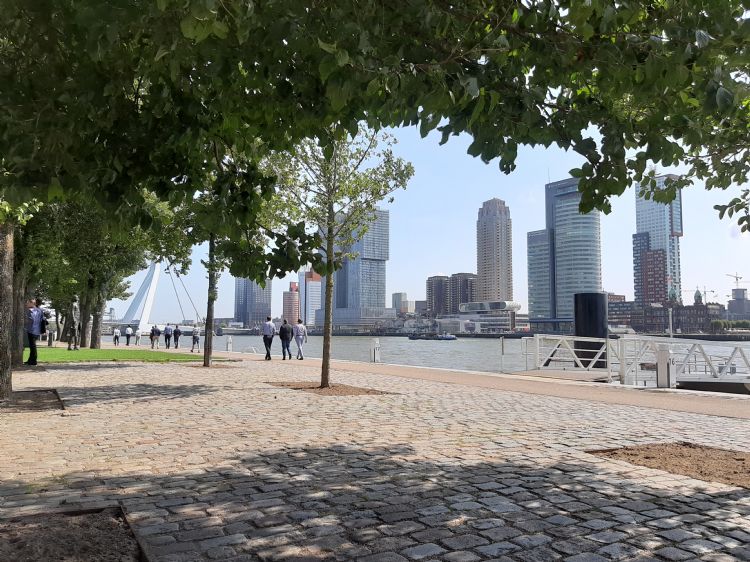 De Westerkade in Rotterdam. Op de achtergrond de Erasmusbrug en De Rotterdam. Iets verderop staat ook Hotel New York. De Westerkade in Rotterdam. Op de achtergrond de Erasmusbrug en De Rotterdam. Iets verderop staat ook Hotel New York.
