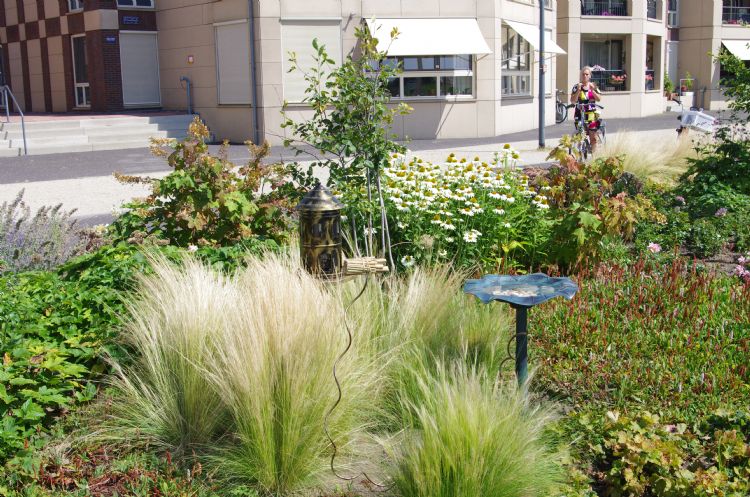 Groenvakken op de IJsselkade, door buurtbewoners ontworpen en onderhouden Groenvakken op de IJsselkade, door buurtbewoners ontworpen en onderhouden