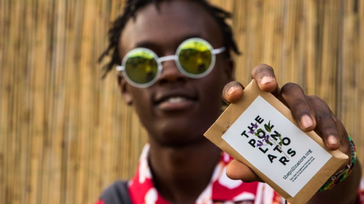 De zaden van The Pollinators. Bron: The Pollinators De zaden van The Pollinators. Bron: The Pollinators