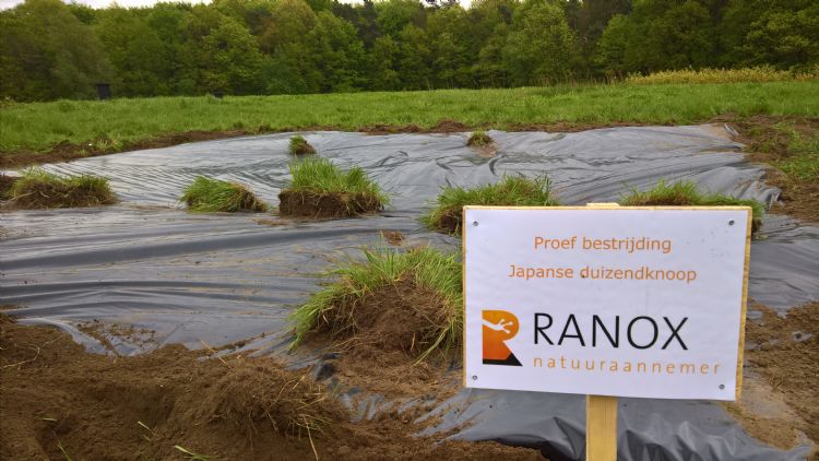 Proeflocatie na afdekking met folie Proeflocatie na afdekking met folie