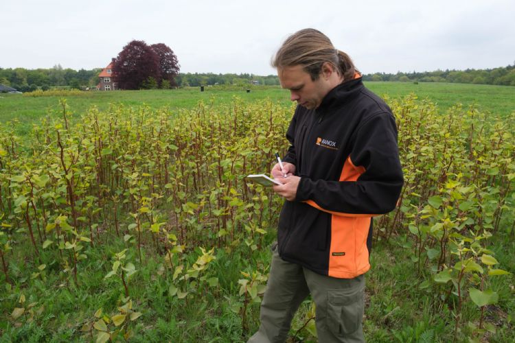 Johannes Regelink: 'We verwachten snel bodemherstel.' Johannes Regelink: 'We verwachten snel bodemherstel.'