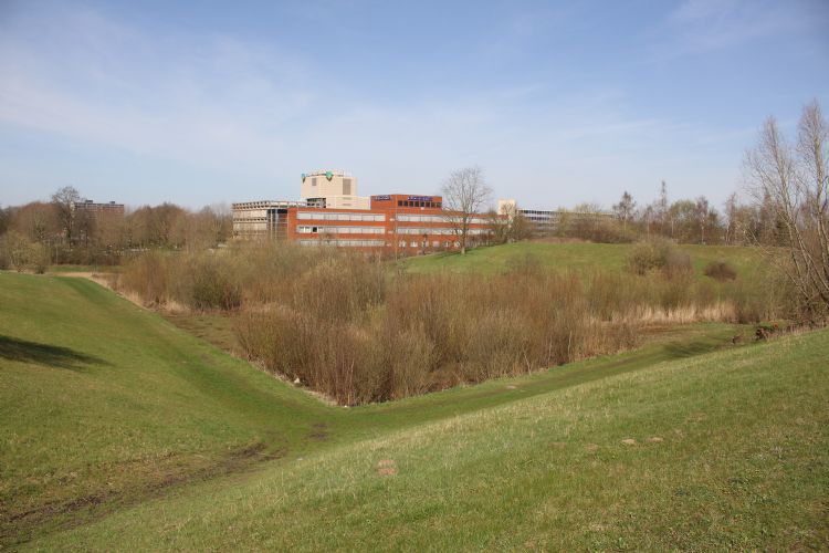 Geluidswal Heerbaan. Een Bredase geluidswal die wordt doorsneden door een natuurvriendelijk ingerichte beek vormt een geschikt leefgebied voor de bedreigde roodrandzandbij. Fotograaf: Tim Faasen, Ecologica Geluidswal Heerbaan. Een Bredase geluidswal die wordt doorsneden door een natuurvriendelijk ingerichte beek vormt een geschikt leefgebied voor de bedreigde roodrandzandbij. Fotograaf: Tim Faasen, Ecologica