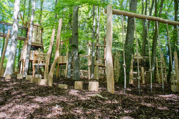 Alle speeltuinen in Apenheul zijn gevuld met Pin Sylvester. Alle speeltuinen in Apenheul zijn gevuld met Pin Sylvester.