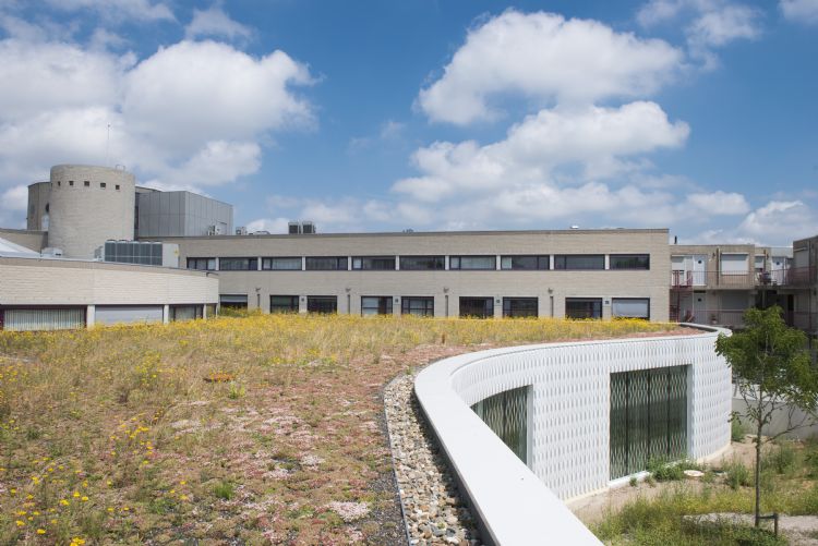 Kennis-, innovatie- en adviescentrum gemeentehuis Landgraaf. Aanleg retentiedak: Jonkers Daktuinen Venlo