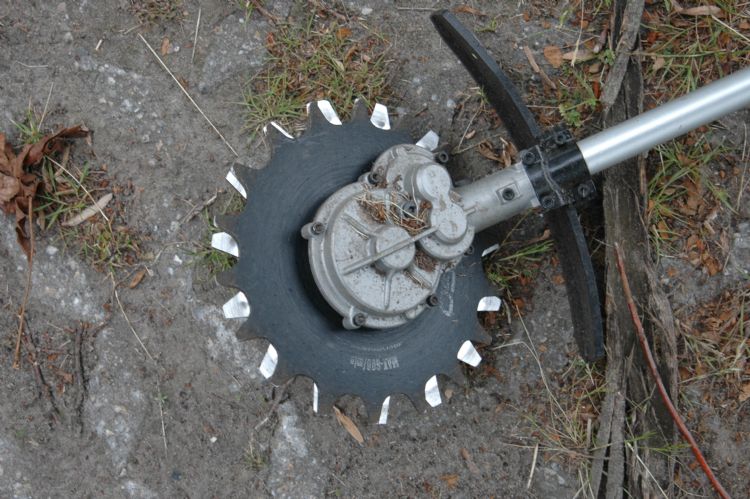 Je ziet hier duidelijk het verschil in tanden bij het onder- en bovenblad van de Ego. Je ziet hier duidelijk het verschil in tanden bij het onder- en bovenblad van de Ego.