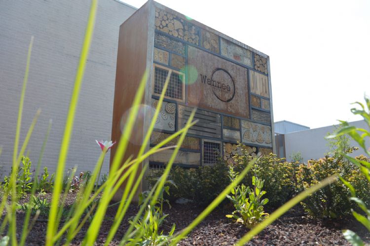 Eetbare tuin bij restaurant Wannee Eetbare tuin bij restaurant Wannee