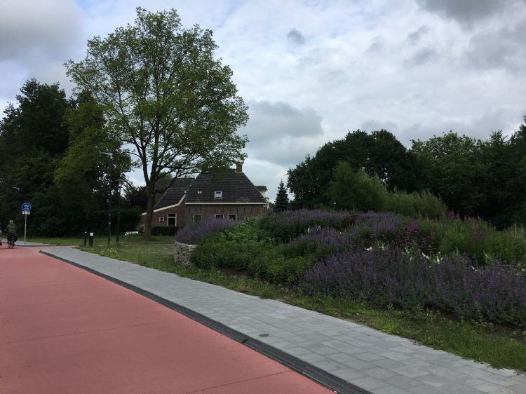 Zorgeloos groen in Drachten met bijenhotel (links) Zorgeloos groen in Drachten met bijenhotel (links)