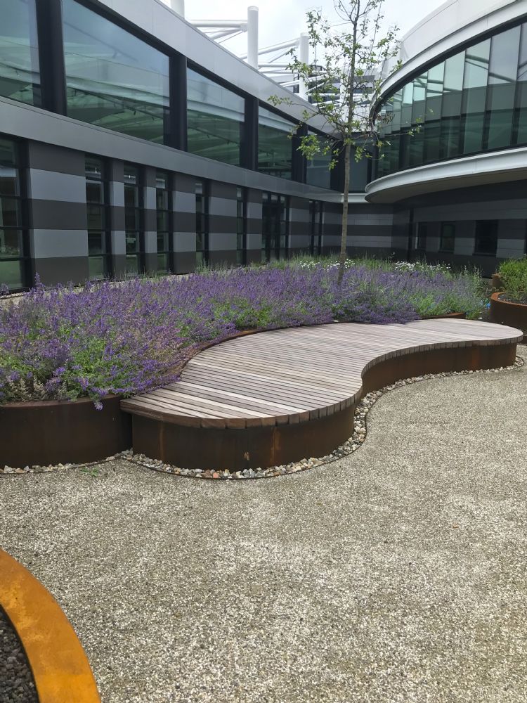 Eindresultaat met intensieve vegetatie: vaste planten, heesters en boom in bakken gecombineerd met halfverharding en een bankje. Foto: Nophadrain. Eindresultaat met intensieve vegetatie: vaste planten, heesters en boom in bakken gecombineerd met halfverharding en een bankje. Foto: Nophadrain.