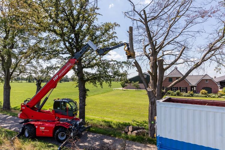 Boomstammen kunnen voortaan ook rechtop/geremd weggenomen worden. Boomstammen kunnen voortaan ook rechtop/geremd weggenomen worden.