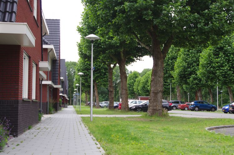 Oud groen is behouden gebleven bij aanleg van het Antoniuskwartier. Oud groen is behouden gebleven bij aanleg van het Antoniuskwartier.