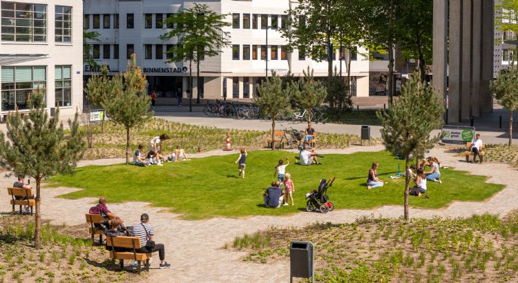 Het groene Clausplein in Eindhoven. Foto: Laurens Mulkens Het groene Clausplein in Eindhoven. Foto: Laurens Mulkens