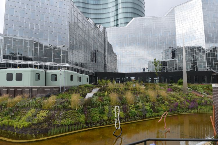 De tuin van de Rabobank in Utrecht is geschikt om in te ontspannen en om heerlijk van te snoepen. Foto: Lodewijk Baljon landschapsarchitecten De tuin van de Rabobank in Utrecht is geschikt om in te ontspannen en om heerlijk van te snoepen. Foto: Lodewijk Baljon landschapsarchitecten