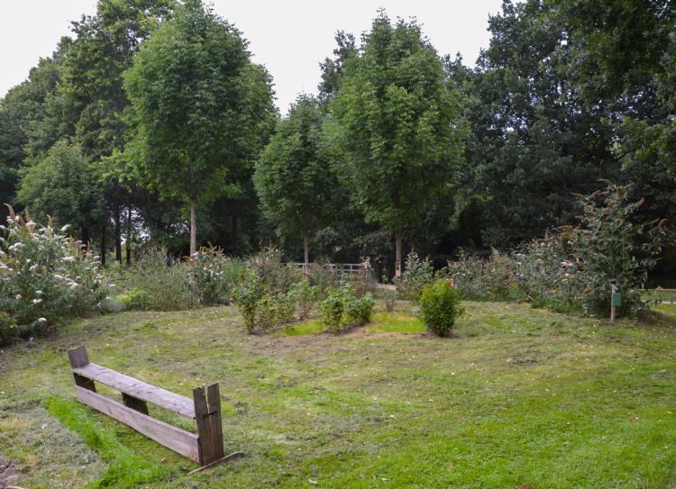 Vlindertuin in Maarssenbroek Vlindertuin in Maarssenbroek