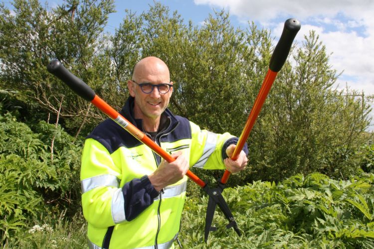 Geert Draaistra van de gemeente Leeuwarden met de reuzenberenklauwschaar. Geert Draaistra van de gemeente Leeuwarden met de reuzenberenklauwschaar.