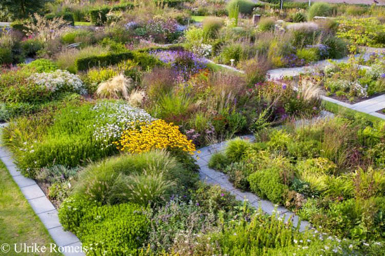 Borders van Lageschaar - Foto: Ulrike Romeis Borders van Lageschaar - Foto: Ulrike Romeis