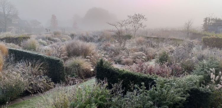 Borders van Lageschaar, najaarsbeeld. Foto: Lageschaar Vaste Planten Borders van Lageschaar, najaarsbeeld. Foto: Lageschaar Vaste Planten