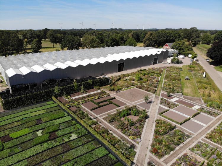 Lageschaar Vaste Planten, kassen en (aanleg nieuwe) inspiratieborders Lageschaar Vaste Planten, kassen en (aanleg nieuwe) inspiratieborders