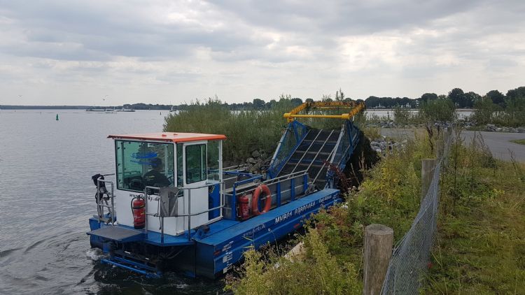 De Berky 6525 was de eerste maaiverzamelboot die Damsteegt kocht. De Berky 6525 was de eerste maaiverzamelboot die Damsteegt kocht.