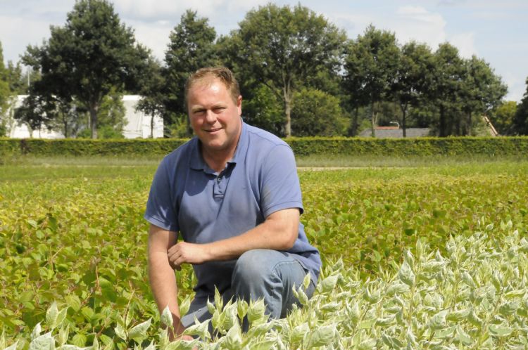 Henk de Bie: 'We zijn reserve en nummer één mag eerst leveren.' Henk de Bie: 'We zijn reserve en nummer één mag eerst leveren.'