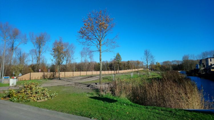 Foto: Nico van Oers (buurtbewoner) Foto: Nico van Oers (buurtbewoner)