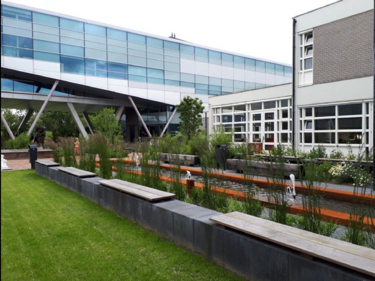 Inspiratietuin NHL Stenden: Snoek Puur Groen heeft hier de vijver opgebouwd uit oude betonnen banden. De fundering van het centrale plein bestaat uit de oude halfverharding. De betonbanden en metalen opsluitingen zijn ook hergebruikt. De goede bomen zijn Inspiratietuin NHL Stenden: Snoek Puur Groen heeft hier de vijver opgebouwd uit oude betonnen banden. De fundering van het centrale plein bestaat uit de oude halfverharding. De betonbanden en metalen opsluitingen zijn ook hergebruikt. De goede bomen zijn