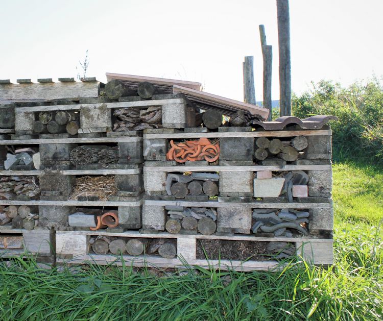 Een bijen- en insectenhotel uit hergebruikte materialen Een bijen- en insectenhotel uit hergebruikte materialen