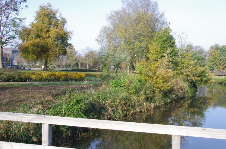 Groenvoorzieningen rondom Boxtels verzorgingstehuis Liduina zijn van hondenuitlaatplaats tot buurtpark verheven Groenvoorzieningen rondom Boxtels verzorgingstehuis Liduina zijn van hondenuitlaatplaats tot buurtpark verheven